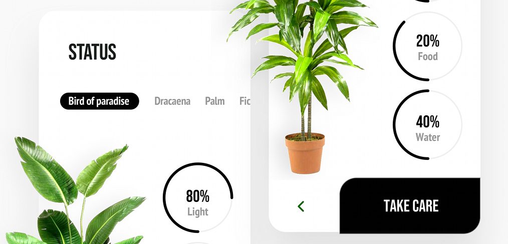 Free XD plant animated app