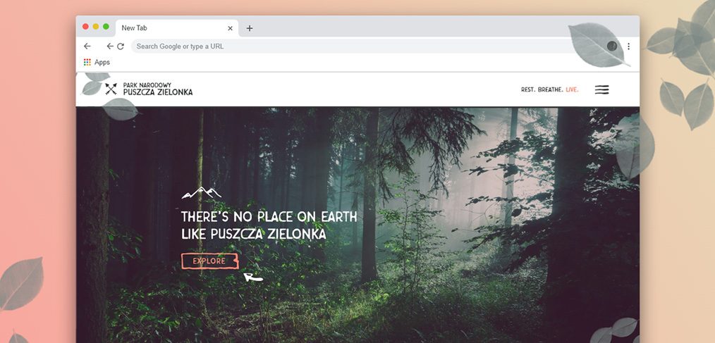 National park XD website template