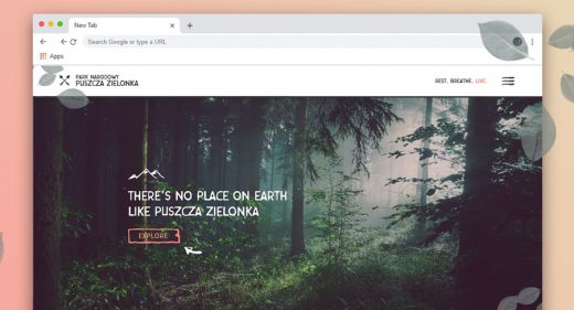 National park XD website template