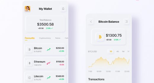 Neumorphic Crypto wallet XD template