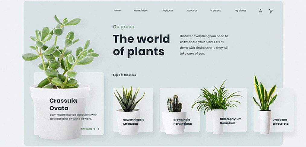 Plants website XD animation