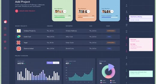 ProManage dashboard XD template